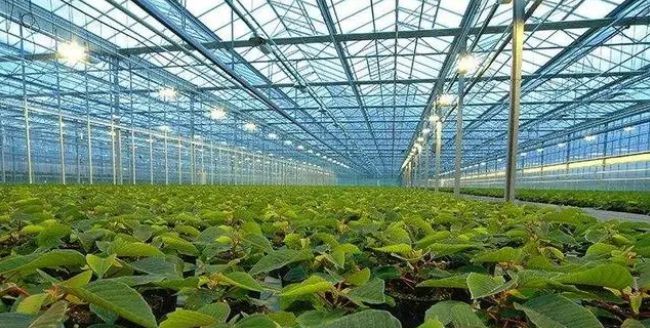 【智慧農業】智慧農業八大應用場景